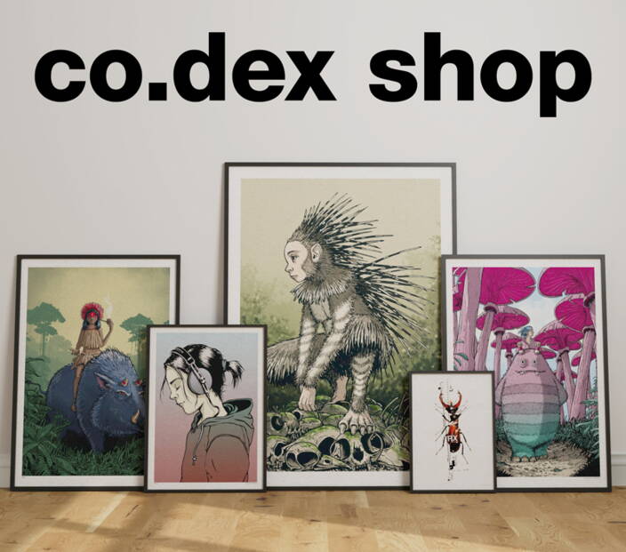 co-dex-shop-1.jpg